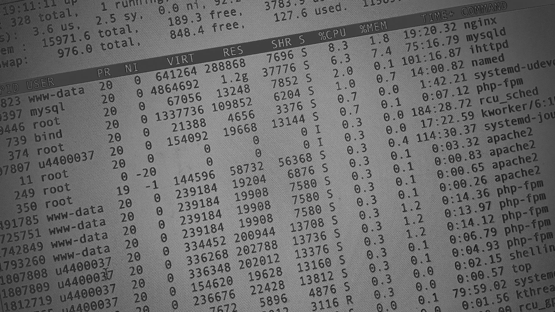 Настройка сервера в Товарково