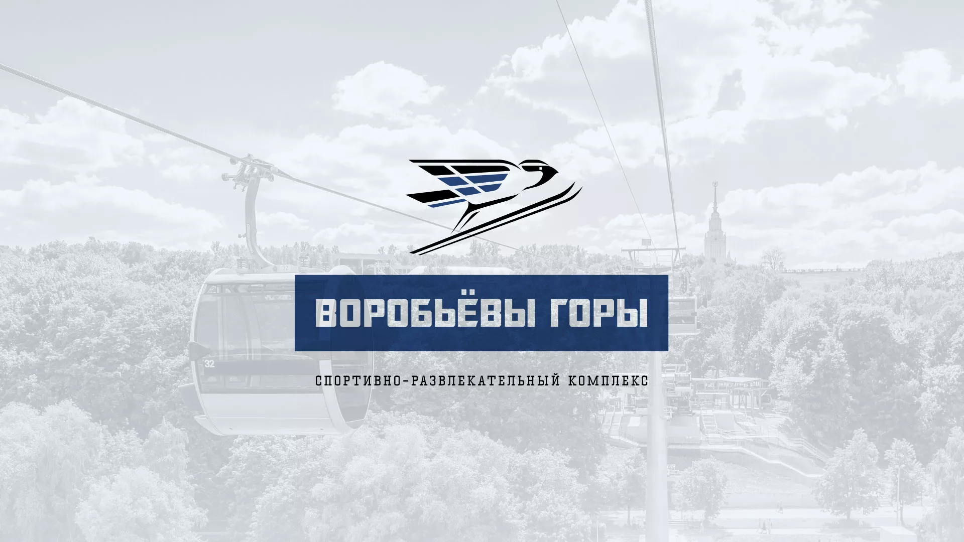 Разработка сайта в Товарково для спортивно-развлекательного комплекса «Воробьёвы горы»